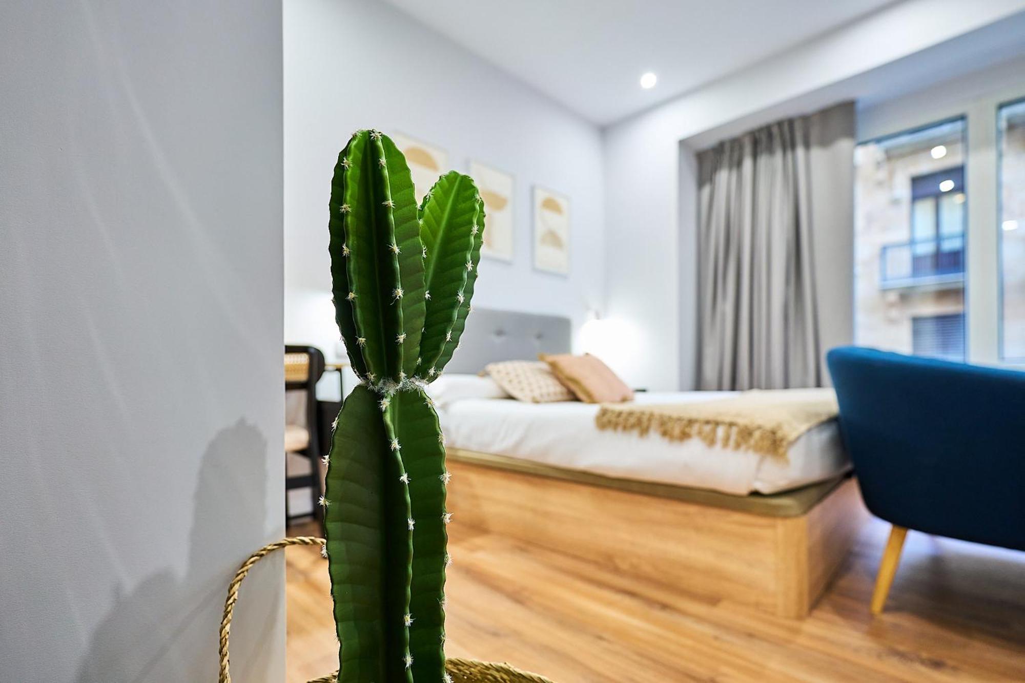Apartamentos Esperanza By Gaiarooms Salamanque Extérieur photo